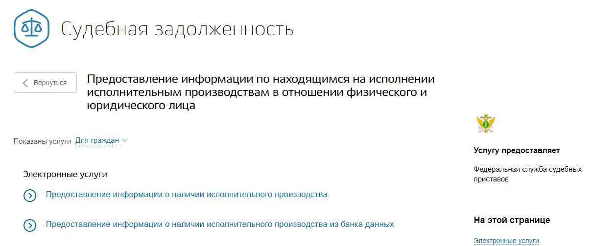 Проверка через сайт «Госуслуги»